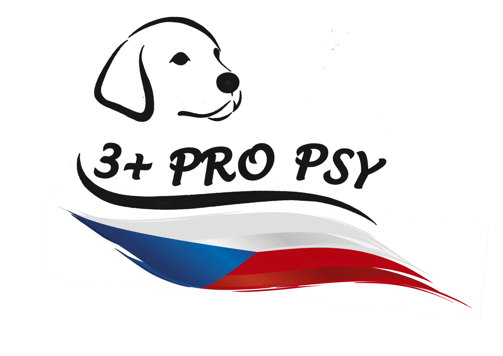 3 plus pro psy